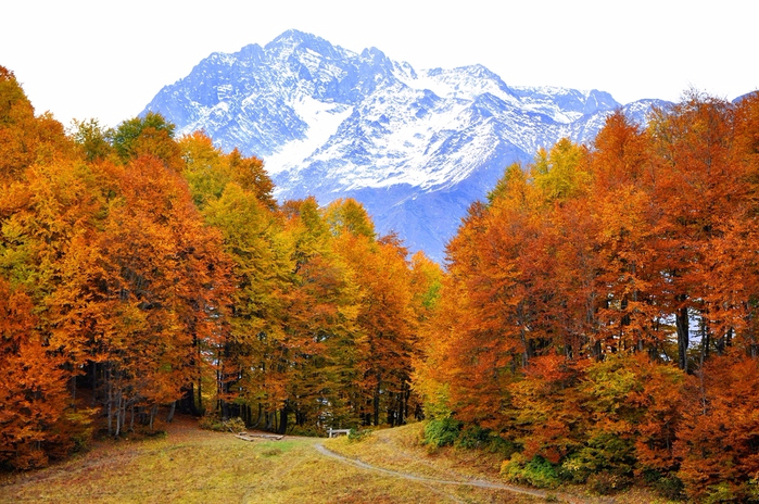 2 (700x464, 491Kb)