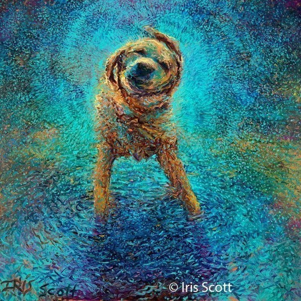 image (604x604, 965Kb)