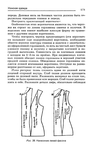  Page_00170 (436x700, 200Kb)