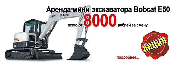 2bobcat_E50-d7860fa39f (700x262, 41Kb)