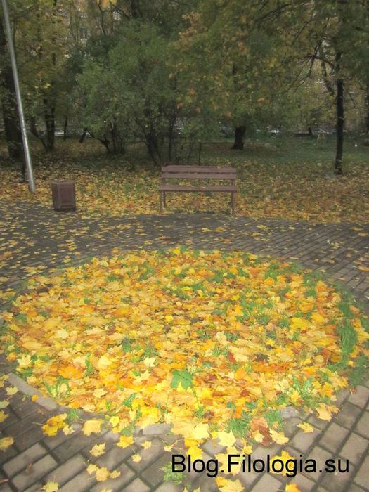 Одинокая скамейка в осеннем парке