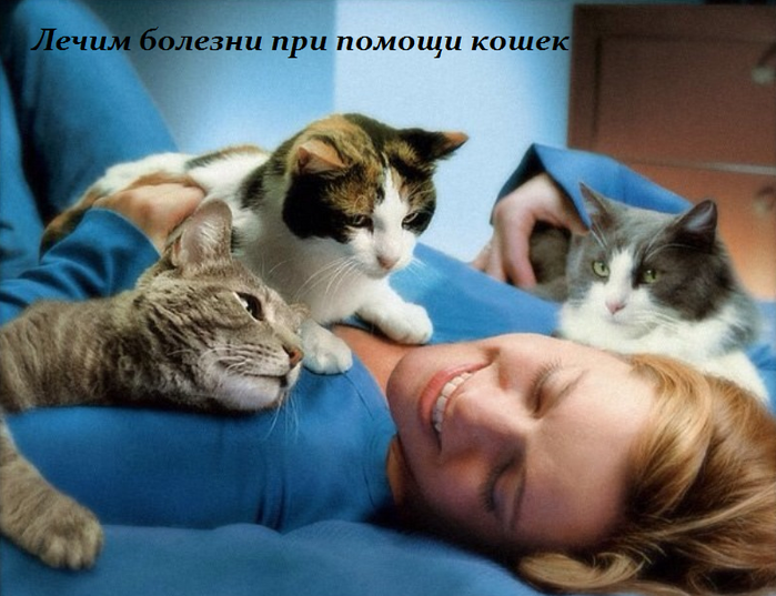 2749438_Lechim_bolezni_pri_pomoshi_koshek (700x537, 509Kb)