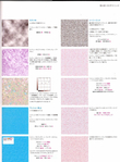  140-e10fac31f9 (516x700, 339Kb)