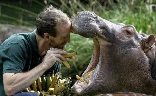 51113541_animals_048 (600x371, 181Kb)