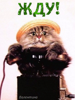 www.radionetplus.ru 14 (240x320, 149Kb)