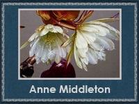 Anne Middleton (200x150, 39Kb)