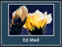 Ed Mell (200x150, 38Kb)
