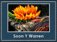 Soon Y Warren (200x150, 49Kb)