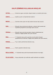  Page16 (452x640, 94Kb)