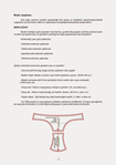  Page18 (452x640, 113Kb)