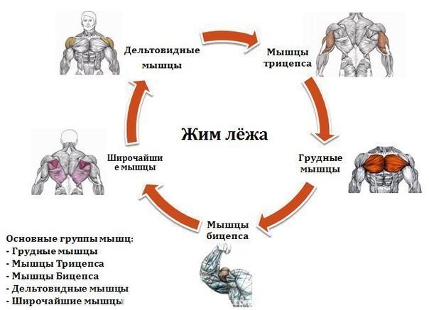 4208855_olVS5vqd49A (604x437, 43Kb)