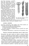 Превью 1_PГЎgina_110 (442x700, 284Kb)