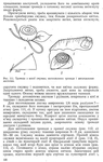 Превью 1_PГЎgina_121 (443x700, 260Kb)