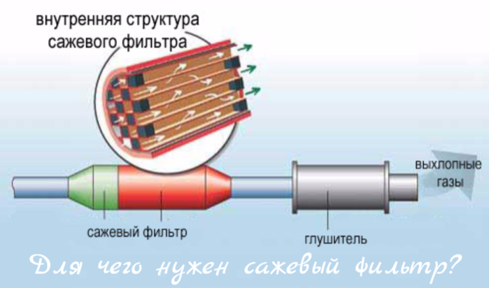 alt="    ?"/2835299_Dlya_chego_nyjen_sajevii_filtr (700x412, 198Kb)