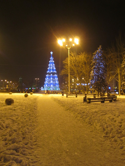 IMG_6600 (525x700, 422Kb)