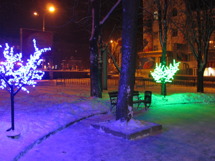 IMG_6628 (700x525, 481Kb)