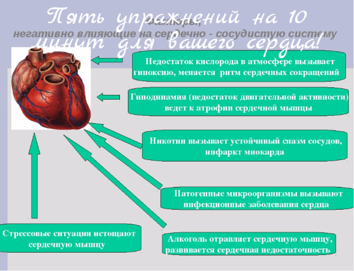 alt="Пять упражнений на 10 минут для вашего сердца!"/2835299_Pyat_yprajnenii_na_10_minyt_dlya_vashego_serdca (700x535, 287Kb)