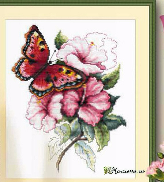 Схема вышивки «Красочная бабочка на цветах» (3) (569x631, 265Kb)