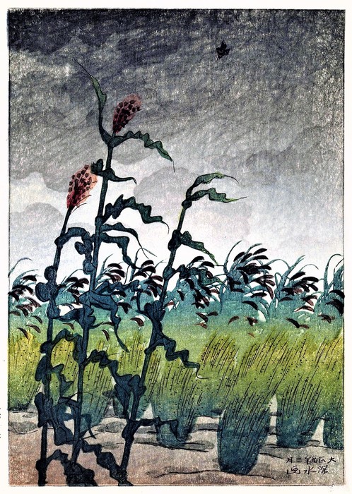 Рис (Inaho (Rice))    1919      34.9 x 24.3    ксилография (498x700, 172Kb)