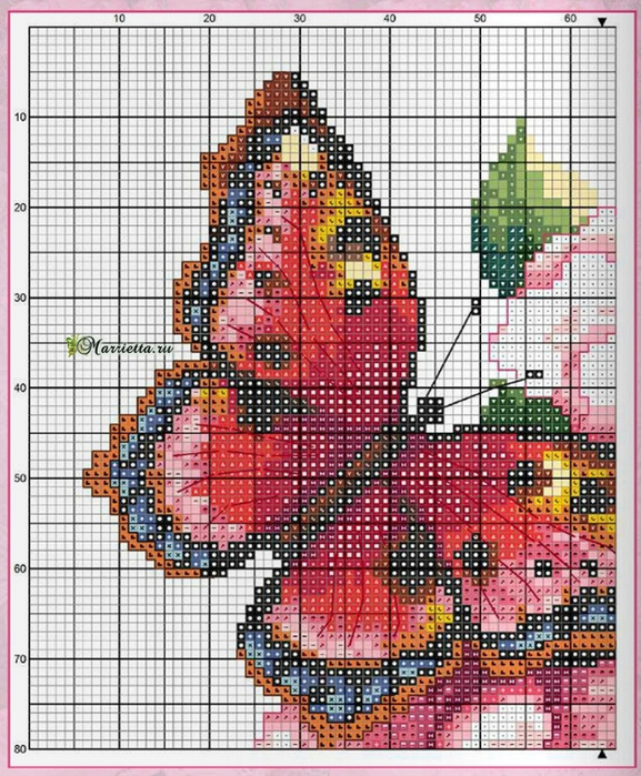 Красочная бабочка на цветах3 (577x700, 493Kb)