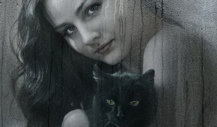 кот и дев (700x410, 73Kb)