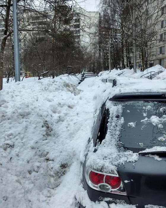 Суровые московские дворники