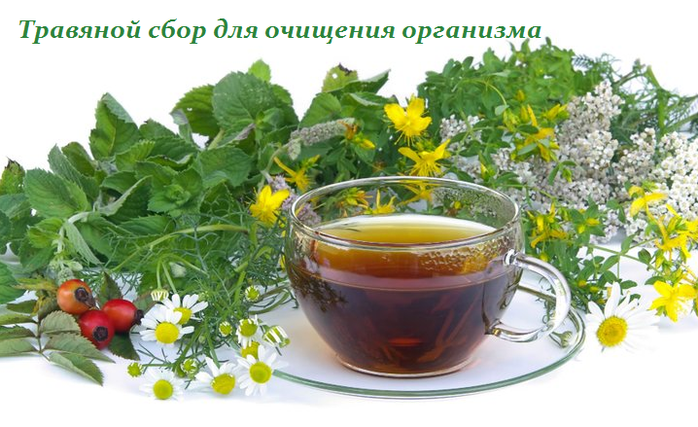 2749438_Travyanoi_sbor_dlya_ochisheniya_organizma (700x427, 447Kb)