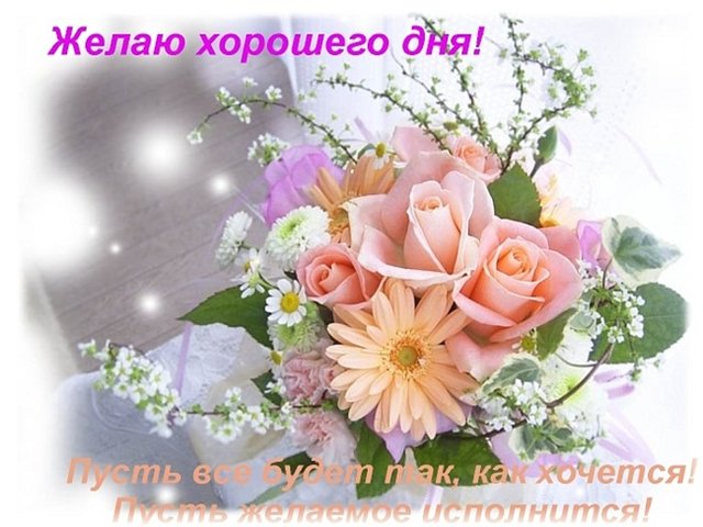 3768849_ (640x480, 64Kb)
