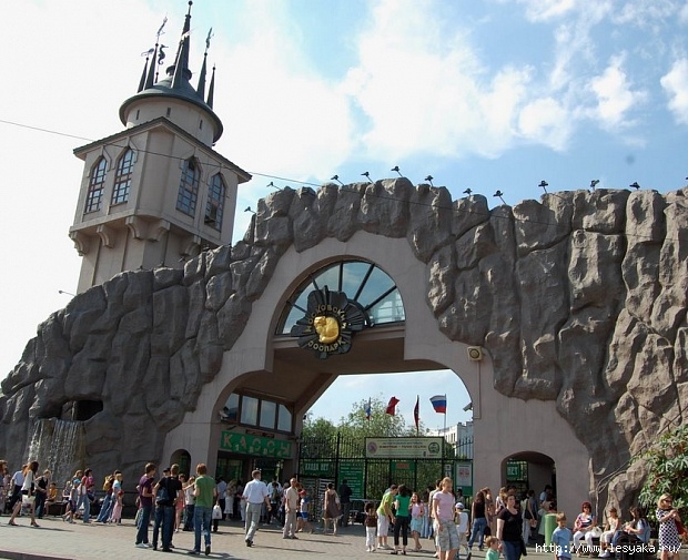 3925073_moskovskiy_zoopark_0 (620x505, 236Kb)