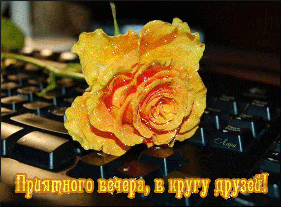 3768849_ (571x420, 415Kb)