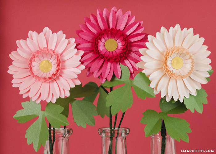 gerbera_daisy_0001 (700x499, 358Kb)