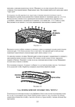  Page222 (494x700, 186Kb)
