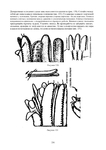  Page256 (494x700, 164Kb)