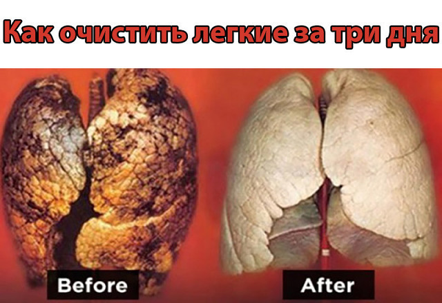 Чем почистить легкие от никотина в домашних условиях