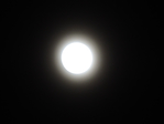 Превью DSCN9161 (700x525, 138Kb)