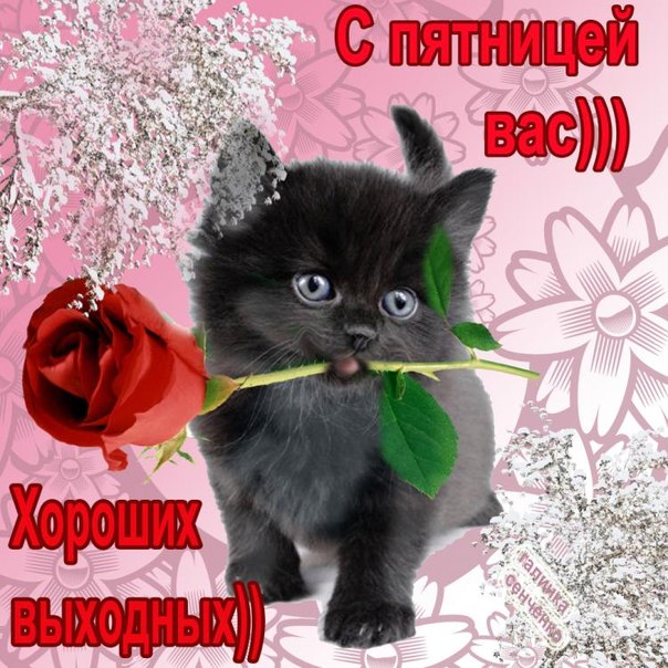 3470549_777 (604x604, 107Kb)