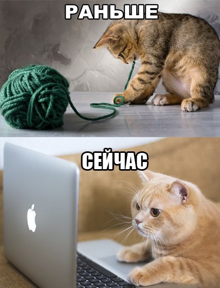 weRCbwqJcCc (433x567, 50Kb)