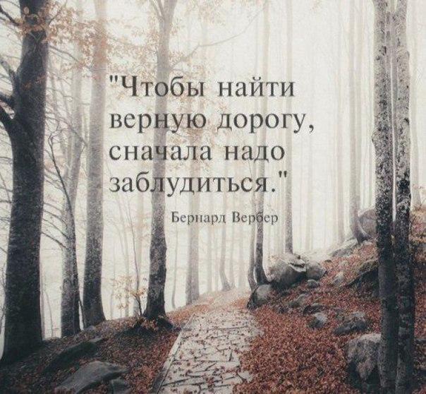 4208855_nURaml4Si7M (604x558, 71Kb)