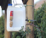 plastic-bird-feeders (700x583, 424Kb)