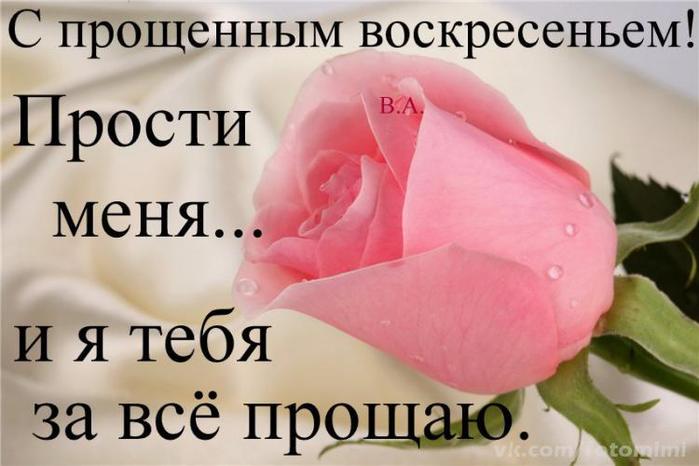 Поздравления прости за все и я тебя прощаю 982