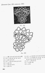  utkina_40034 (394x640, 117Kb)