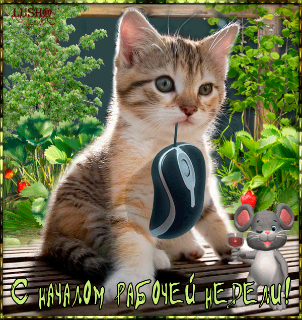 3821971_262698616 (600x635, 1675Kb)