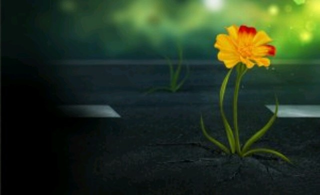 6120542_image (640x390, 28Kb)