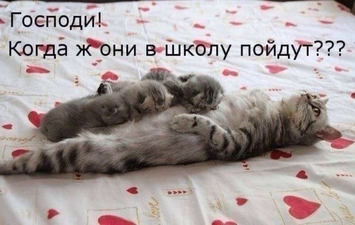 a81c92ef9a430b79e12c9d1eba7b4e7c (700x443, 101Kb)