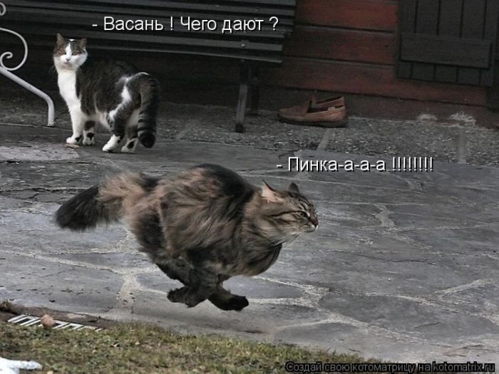 1339488011_kotomatrix_32 (700x525, 69Kb)