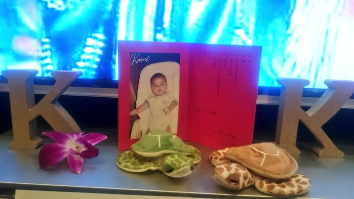 Kame 2017-02-23 09-19-1 (twitter.koarakazuya) (700x393, 47Kb)