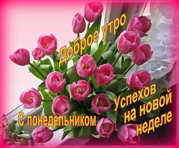 3470549_Nedelya_poned (577x480, 85Kb)