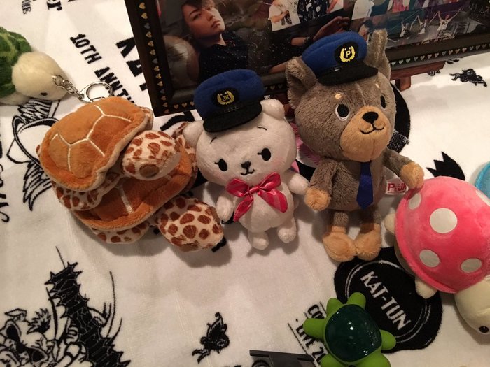 Kame 2017-02-23 39-15 (twitter.asukame1582) (700x525, 85Kb)