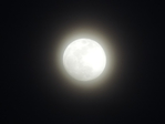 Превью DSCN9496 (700x525, 135Kb)