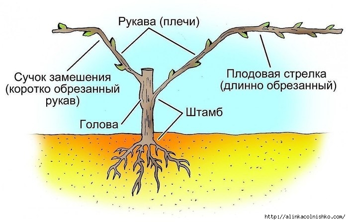 LRFcveYGmcM (700x447, 156Kb)